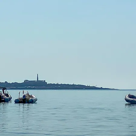Mareantico Shabby